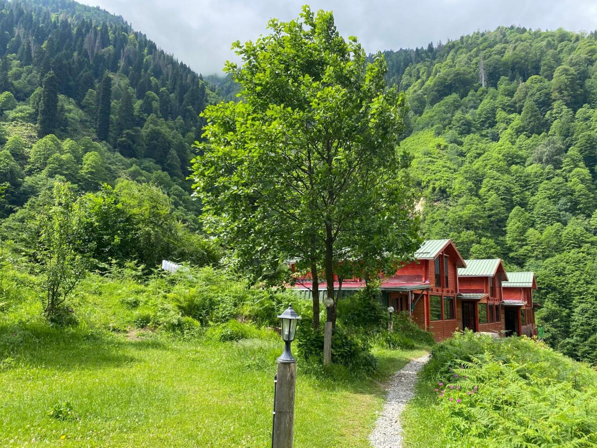 Ayder Villa Gencal Zewnętrze zdjęcie