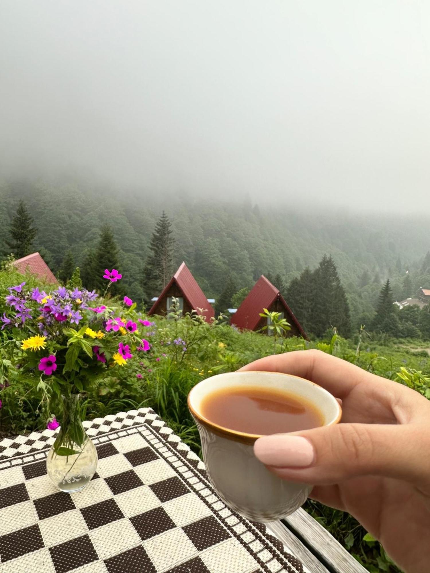 Ayder Villa Gencal Zewnętrze zdjęcie
