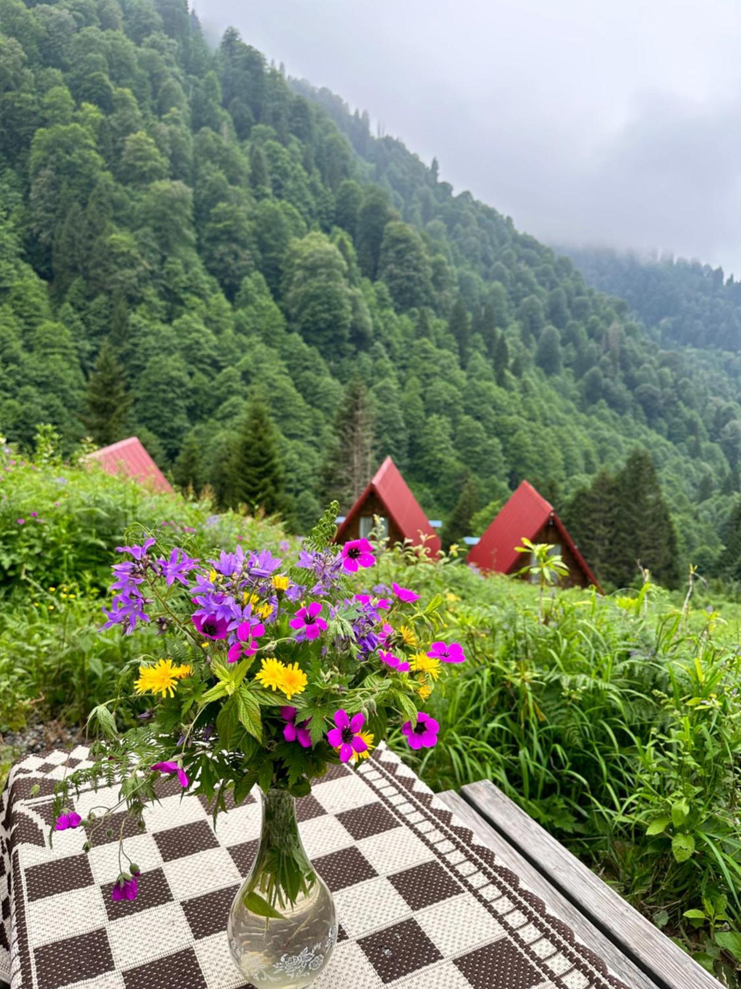 Ayder Villa Gencal Zewnętrze zdjęcie