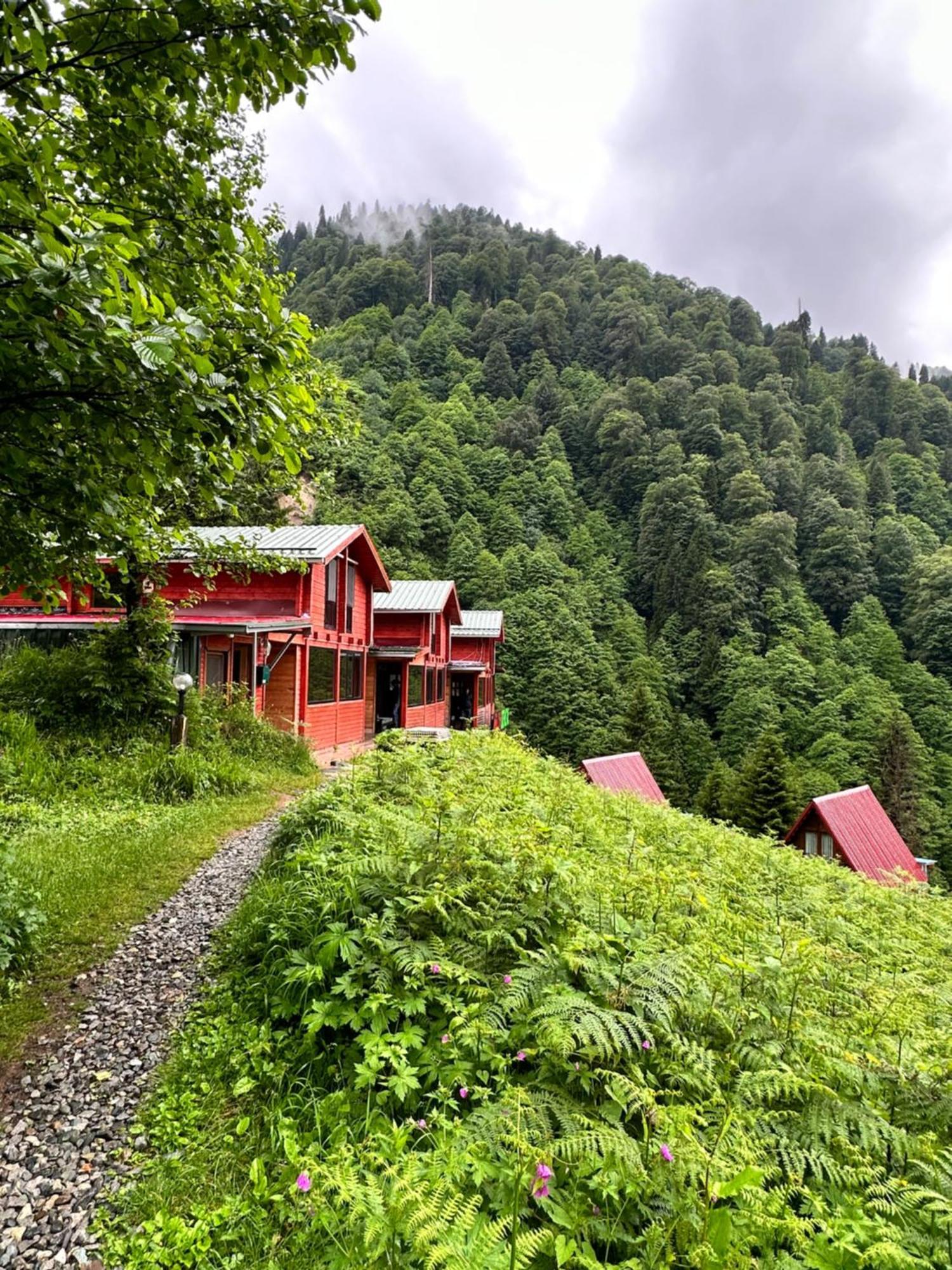 Ayder Villa Gencal Zewnętrze zdjęcie