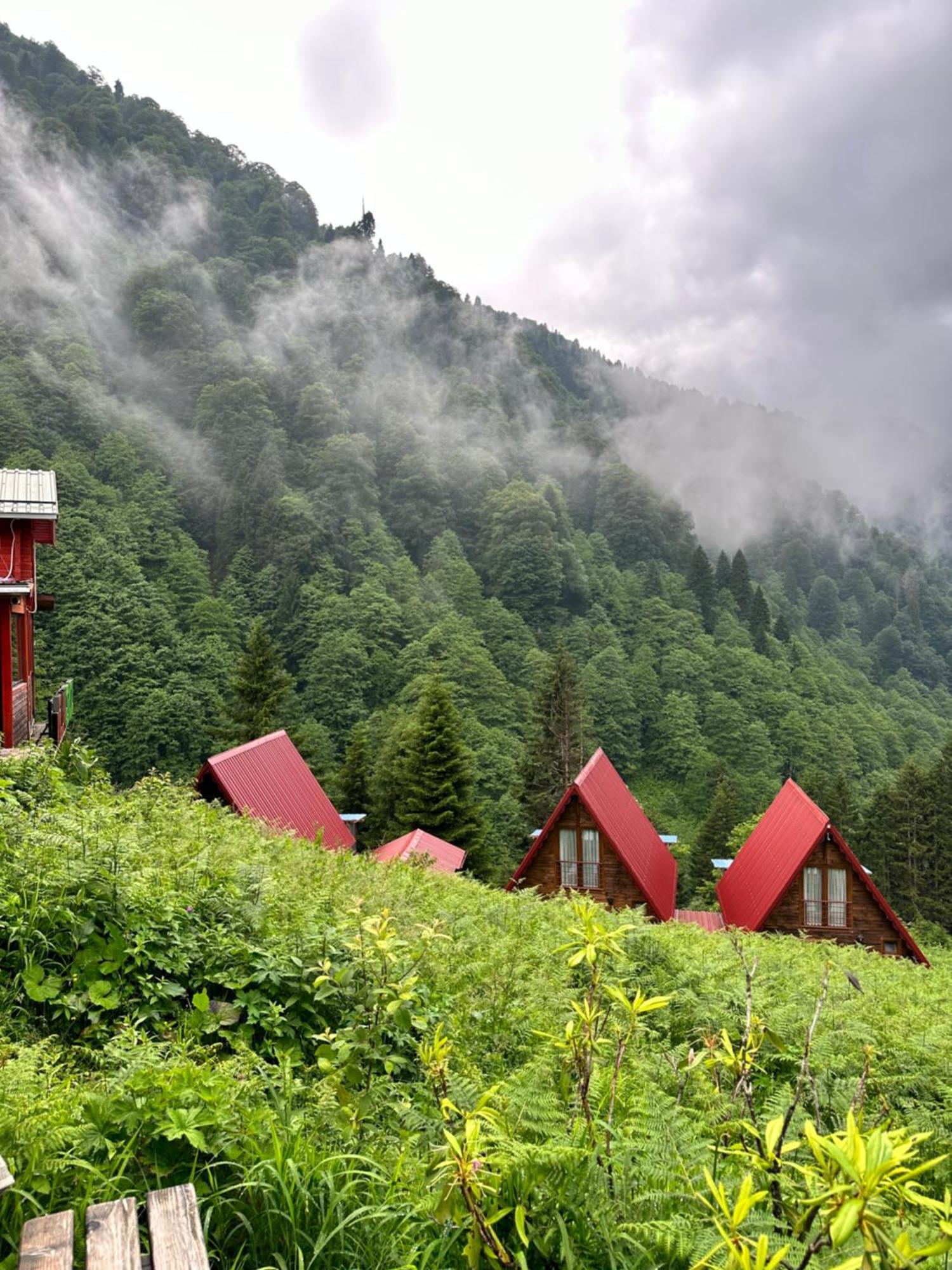 Ayder Villa Gencal Zewnętrze zdjęcie