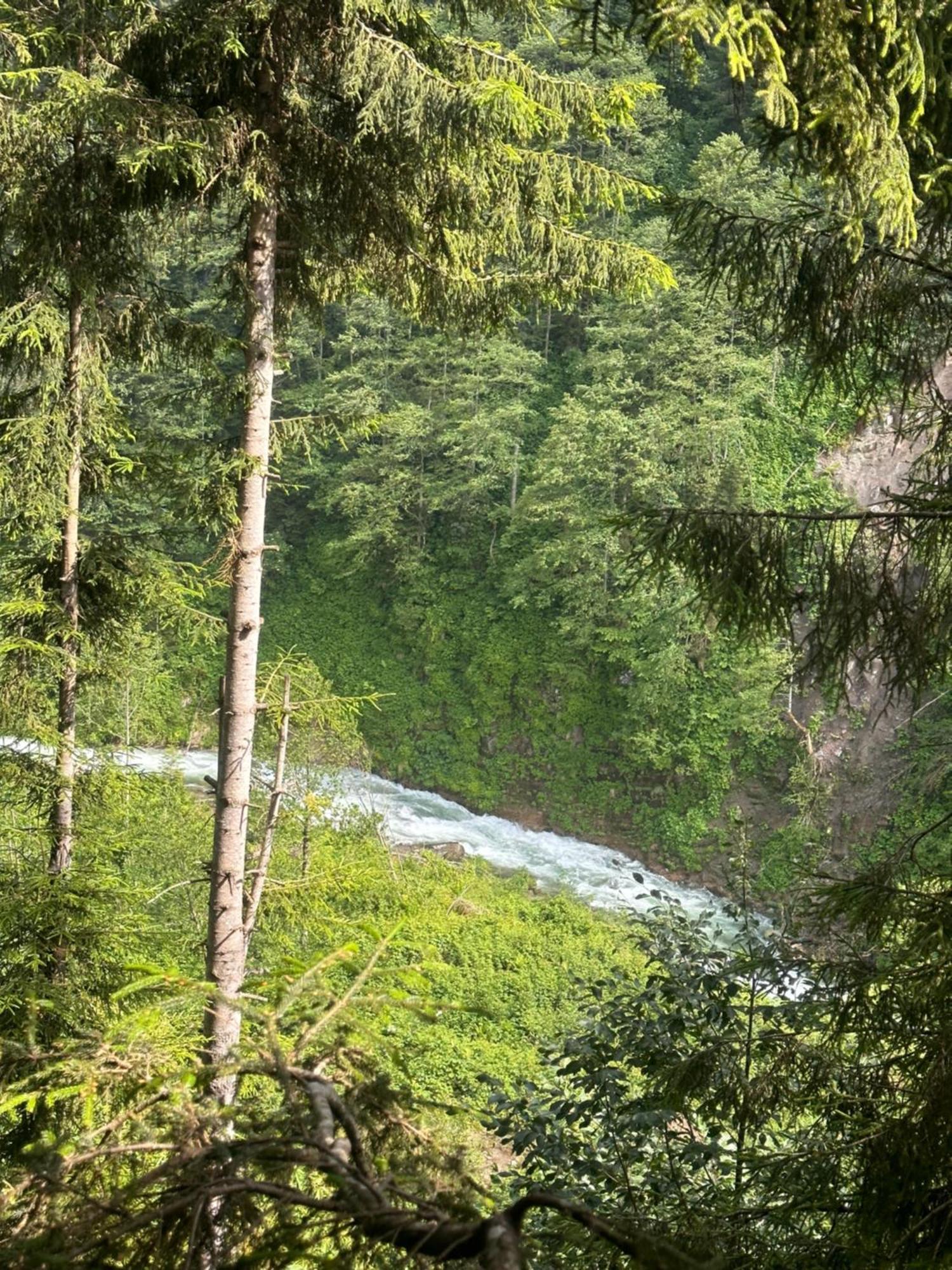 Ayder Villa Gencal Zewnętrze zdjęcie